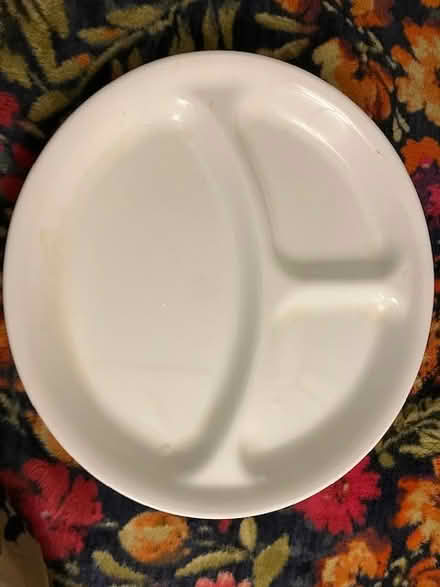 Photo of free potion control dinner plate (Jackson heights) #1