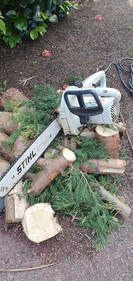 Photo of free Chainsaw - electric, 40cm (Broadwater BN14) #2