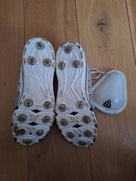 Photo of free Mens cricket shoes and box (Borehamwood WD6) #1