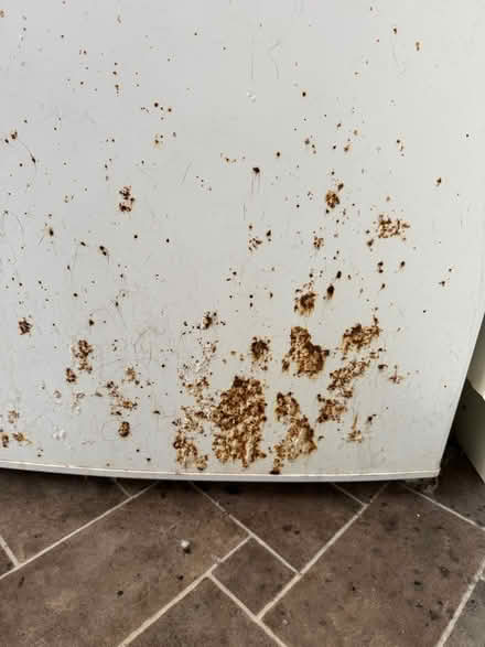 Photo of free Under the counter fridge (Coulsdon, Surrey) #3