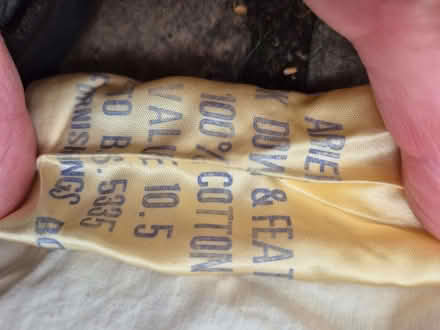 Photo of free Single quilt - 10.5 tog duck down/feather filling (Trumpington Ward CB2) #2