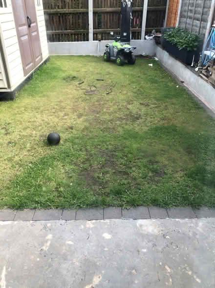 Photo of Turf rolls (Hockley Port B16) #1