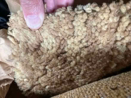 Photo of free Carpet offcut -loop pile wool (Aston SG2) #1
