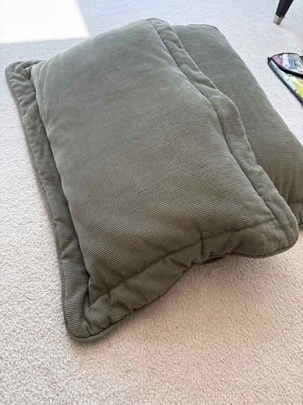 Photo of free Two pillows (Emerald Hills) #1