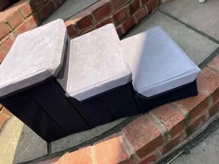 Photo of free Dog Accessories (Chessington KT9) #3