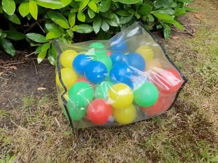 Photo of free Bag of plastic ball-pit balls (St Pauls Ward GU15) #1