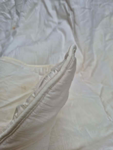 Photo of free Single quilt - polyester filling, some stains (Trumpington Ward CB2) #2