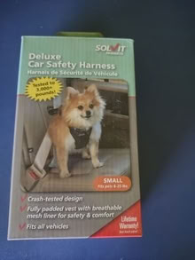 Photo of free small dog car safety harness #1