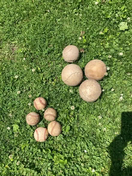 Photo of free Balls (Oakton Park in skokie) #1
