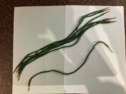 Photo of free Long treasury tags (World’s End Burgess Hill) #1