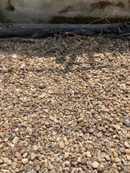 Photo of free Gravel (Broadstairs CT10) #1