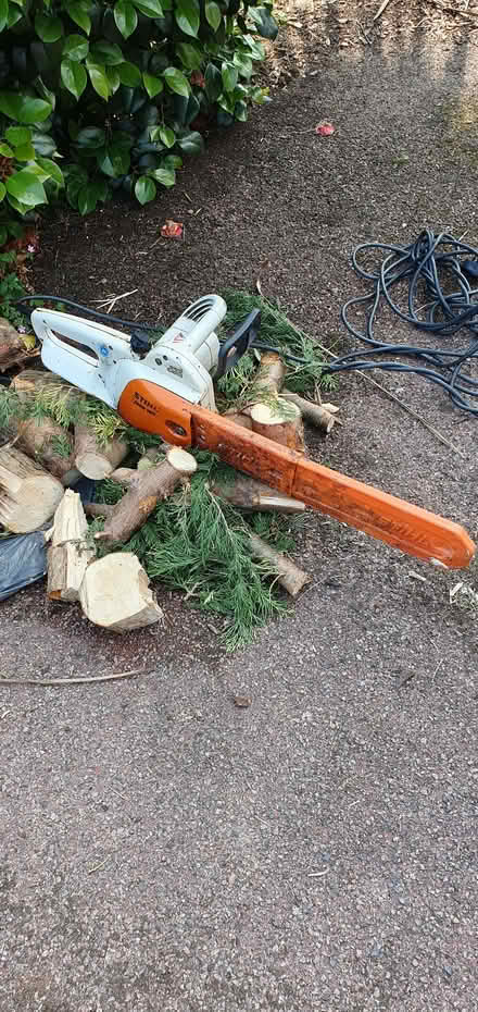 Photo of free Chainsaw - electric, 40cm (Broadwater BN14) #4