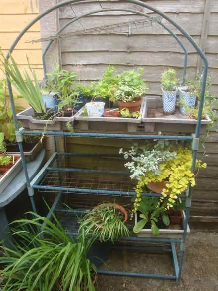 Photo of free Garden shelf unit (mini greenhouse frame) (Penn Hill BH14) #1