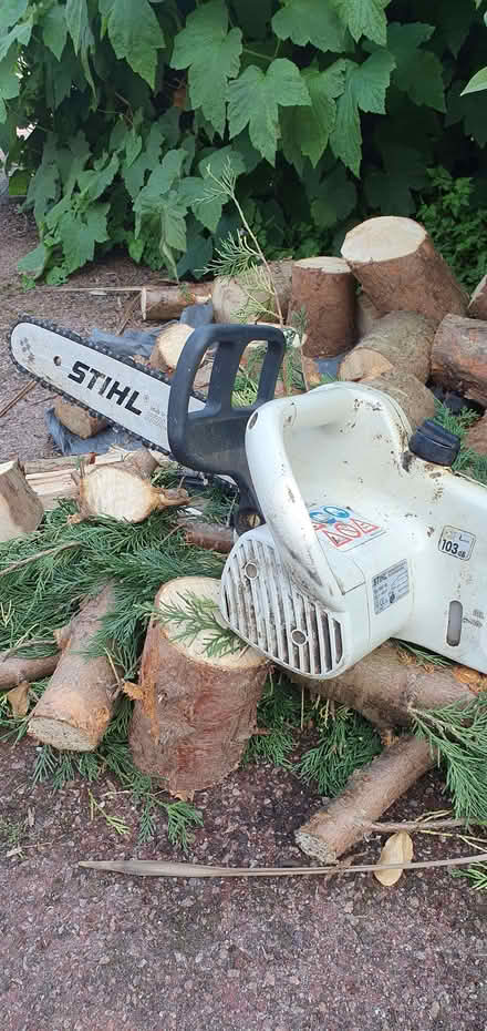 Photo of free Chainsaw - electric, 40cm (Broadwater BN14) #3