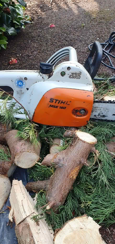 Photo of free Chainsaw - electric, 40cm (Broadwater BN14) #1