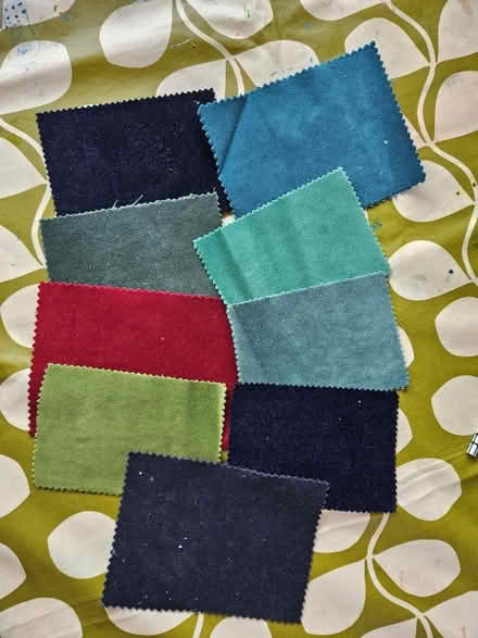 Photo of free Velvet samples (West Norwood SE19) #1