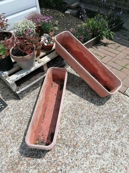 Photo of free Planters (Langney BN23) #1