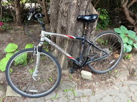 Photo of free Schwinn bike (Jane/Bloor) #1