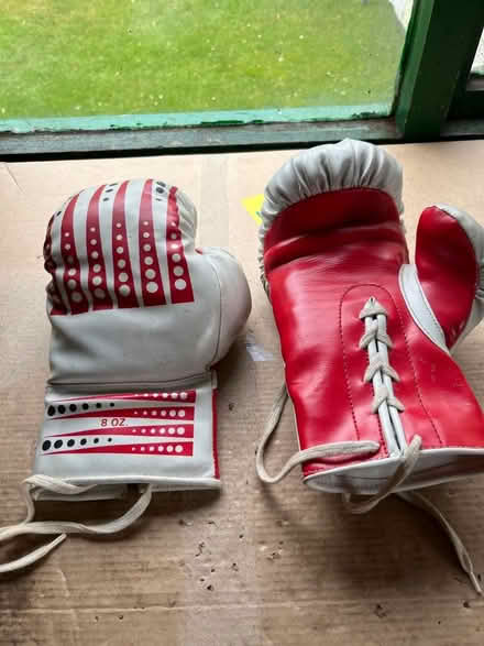 Photo of free Boxing gloves. (Rowley Park ST17) #1