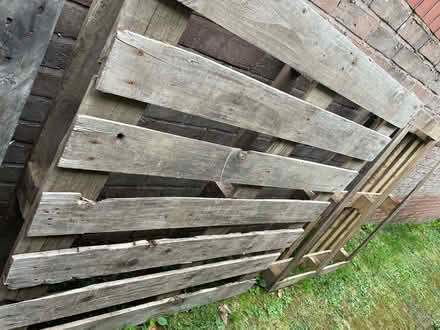 Photo of free 4 wood pallets (Sy11 2HH) #3