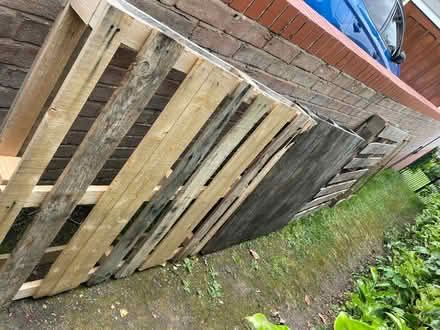 Photo of free 4 wood pallets (Sy11 2HH) #1