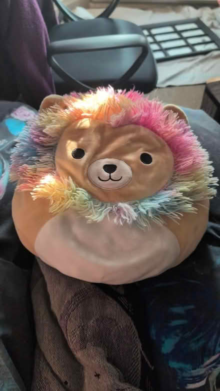 Photo of free Multicolour squishmallow (St Clements OX4) #1