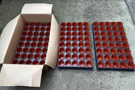 Photo of free Seed pots (Buckhurst Hill IG9) #1