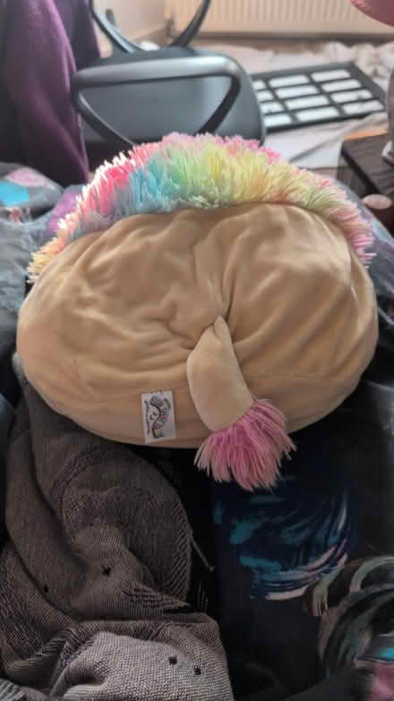 Photo of free Multicolour squishmallow (St Clements OX4) #2