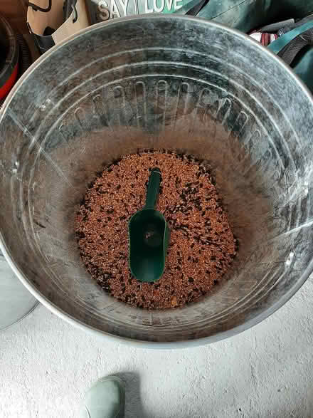 Photo of free Chicken feed and accessories (Whitstable CT5.) #2