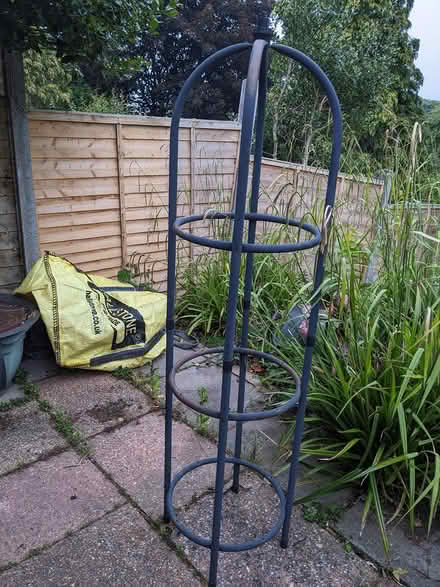 Photo of free Rose garden obelisk (Welwyn Village, AL6) #2