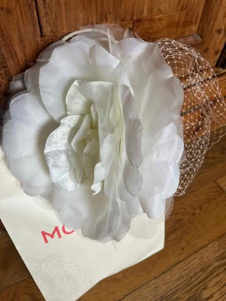 Photo of free Fascinator (Oxford OX4) #1