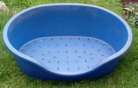Photo of free Dog Bed (Hookhills TQ4) #1