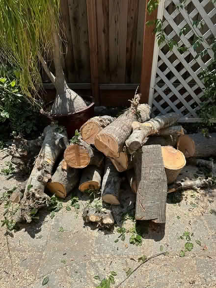Photo of free Oak Fire wood (Redwood City) #1