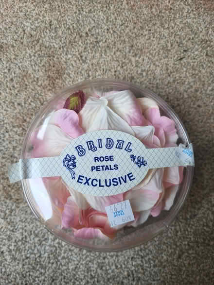Photo of free Arts and crafts rose petals (Brixham) #1