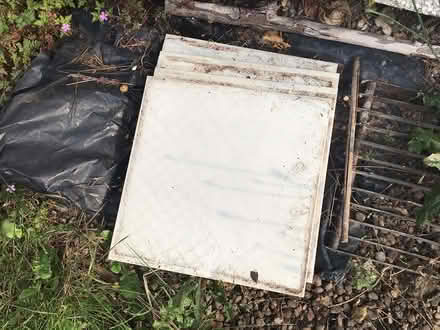 Photo of free Bathroom tiles (Lenton, NG7) #1