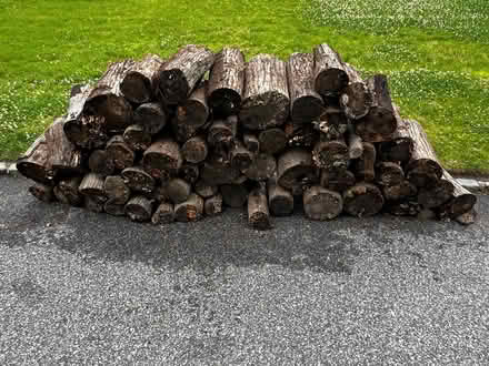 Photo of free logs (Smithtown) #1