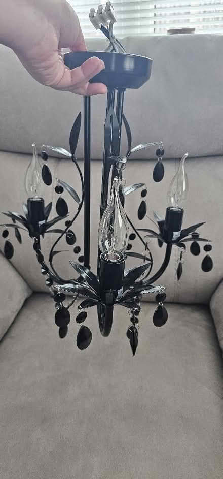 Photo of free Ceiling light - Black (Hailsham BN27) #1