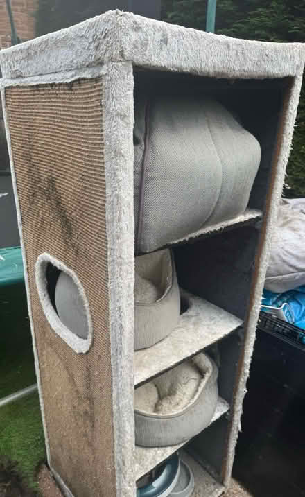 Photo of free Cat tower (S8 7hs) #1
