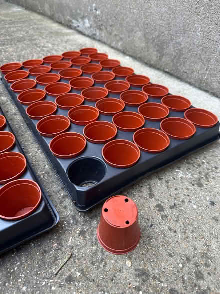 Photo of free Seed pots (Buckhurst Hill IG9) #2