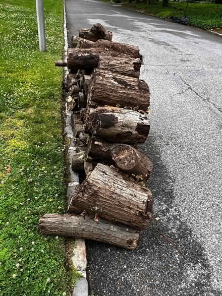 Photo of free logs (Smithtown) #2