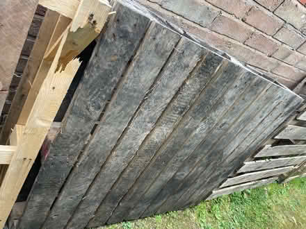 Photo of free 4 wood pallets (Sy11 2HH) #4