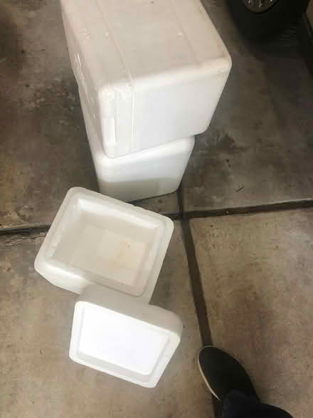 Photo of free styrofoam coolers (Woodward &12 Mile Road) #1