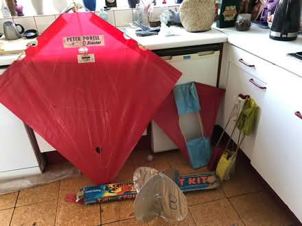 Photo of free Various kites (By Oakleigh Park station EN4) #3
