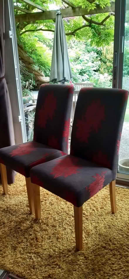 Photo of free 2 Dining Table Chairs (Kew TW9) #1