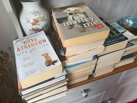 Photo of free Selection of books (Privett PO12) #1