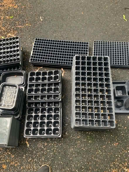 Photo of free Farm Seed Starting Trays and Domes (Cottageville, South Brunswick) #3