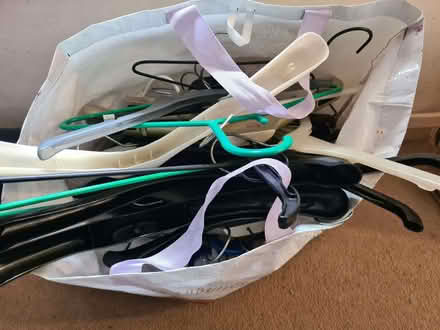 Photo of free Bag of clothes hangers (Combe St Nicholas TA20) #1