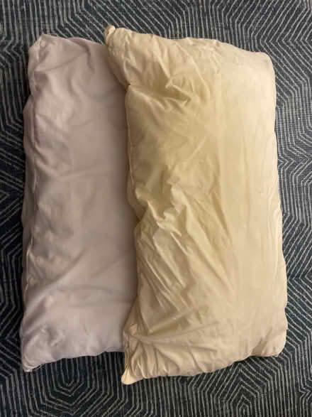 Photo of free Two pillows (PO6) #1