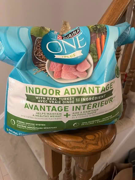 Photo of free Cat food (Kanata Lakes/Beaverbrook) #1