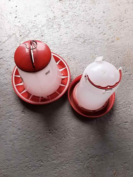 Photo of free Chicken feed and accessories (Whitstable CT5.) #1